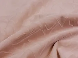 Focus (pearl)